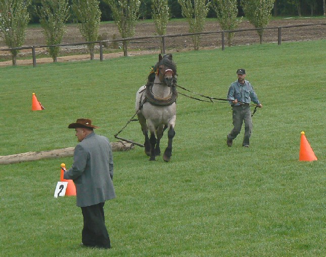 ovladatelnost1.jpg