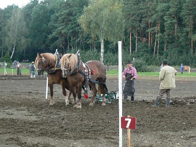 orba1.jpg